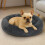 Skylos Dog Bed Donut Soft Large Plush Cat Calming 1
