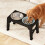 Skylos Dog Raised Elevated Pet Feeding Bowls 1