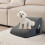 Skylos 2 Step Dog Ramp Pet Stairs for Small Dogs 1