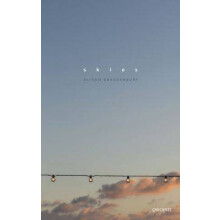Skies by Alison Brackenbury Paperback Book