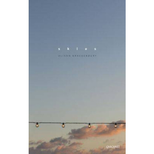 Skies by Alison Brackenbury Paperback Book