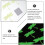 35St Makkelijk Te Bevestigen Glow Sticker 5