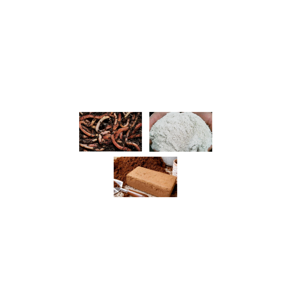 Basic Wormery Starter Kit