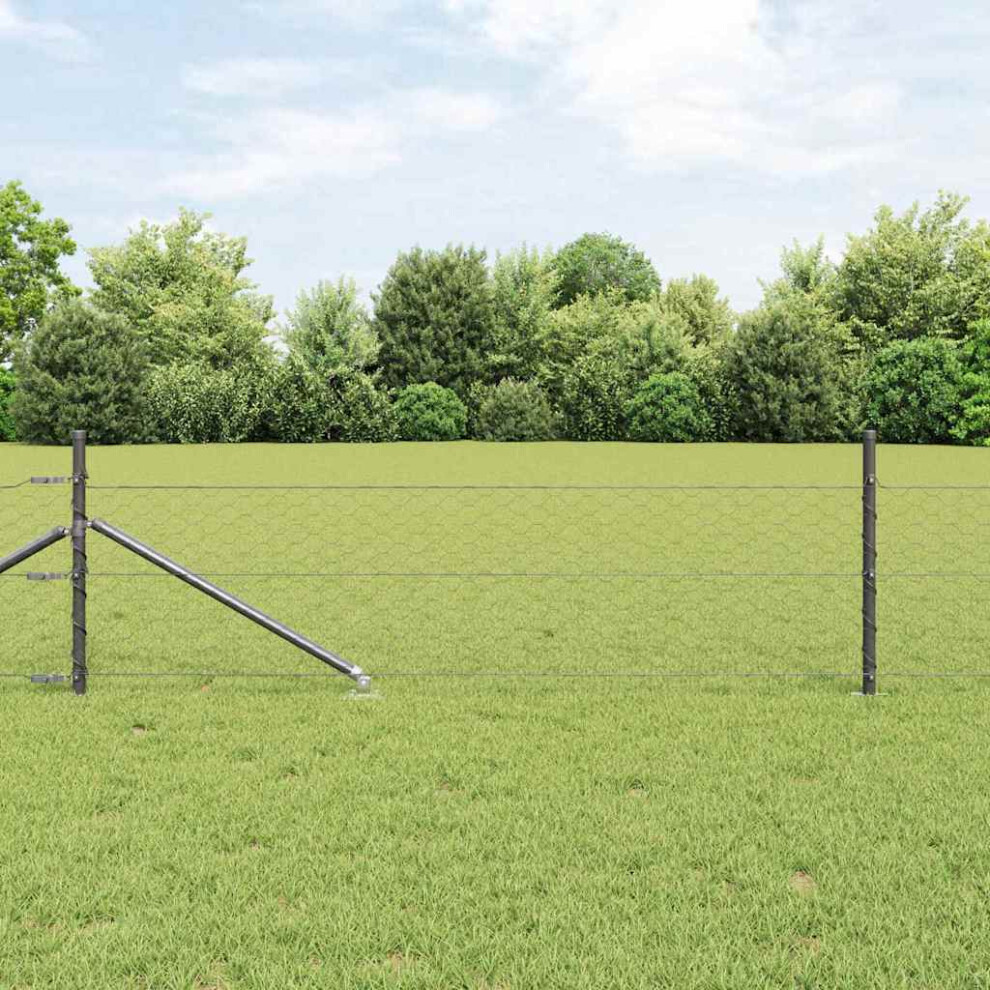 Vidaxl Welded Wire Fence With Spikes 100 X 0.8 M (W X H)