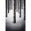 Touch by Alexi Zentner Paperback Book 1