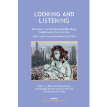 Looking and Listening Work from the So Paulo MotherBaby Relationship S
