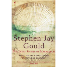 Lying Stones of Marrakech by Stephen Jay Gould Paperback Book