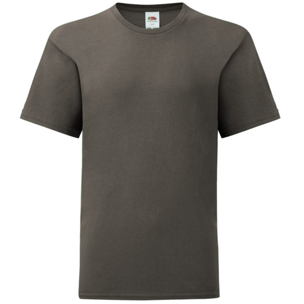 Fruit Of The Loom (12-13 Years, Light Graphite Grey) Childrens/Kids Iconic T-Shirt