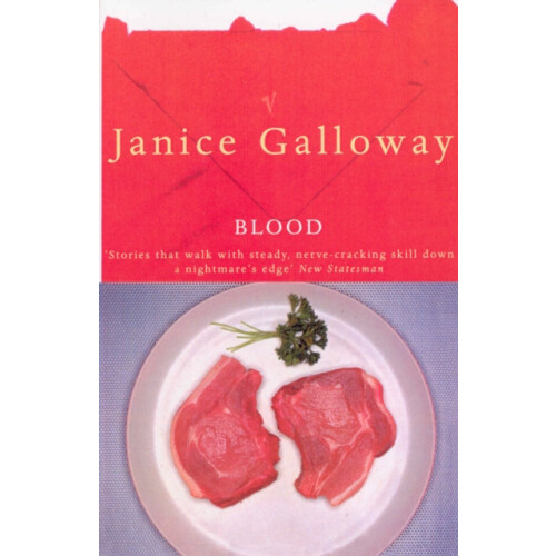 Blood by Janice Galloway Paperback Book