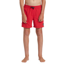 Quiksilver Kids Everyday 14" Swim Shorts