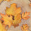 4 Pcs Autumn Leaf Cookie Cutter Set Mini Plastic Fondant Icing Mould Diy Baking Tool 5