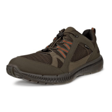 (10.5-11 UK (45EU), Tarmac/Tarmac) ECCO Mens Terracruise II GORE-TEX Walking Trainers