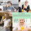 Kitchen Accessory Manual Lemon Squeezer Orange Squeezer Citrus Squeezer, Dishwasher Safe Made of Bio 2