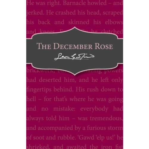 December Rose by Leon Garfield Paperback Book