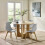 Agatha Dining Chair (Set of 2) 13