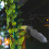 Plastic Eagle Ornament for Eagle Bird Deterrent in Yard Garden 4