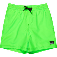 (XS, Green Gecko) Quiksilver Kids Everyday Volley 14" Swim Shorts
