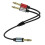 m 1/4 TRS stereo til dobbel TS mono lyd Y-splitterkabel 3