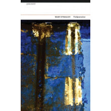 Valparaiso by Mary OMalley Paperback Book