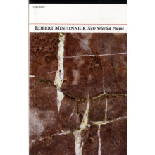 New Selected Poems by Robert Minhinnick Paperback Book
