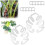 10 Stück Pflanzenstützstäbe – Transparente ABS Monstera Blattformer 2