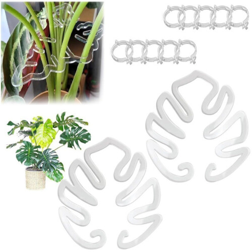 10 Stück Pflanzenstützstäbe – Transparente ABS Monstera Blattformer 1