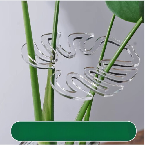 10 Stück Pflanzenstützstäbe – Transparente ABS Monstera Blattformer 2