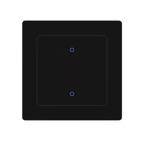Tuya WiFi Light  App Remote Control with for Alexa  Home 2-Gang