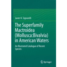 The Superfamily Mactroidea MolluscaBivalvia in American Waters An Illu