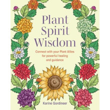 Plant Spirit Wisdom by Karine Gordineer Paperback Book