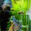 CO2 Diffuser Acrylic CO2 Reactor Diffuser with Suction Cup for Aquarium Planted Fish Tank 7