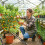 2-teiliges Gartenscheren-Set, Astschneider und Baumschnittwerkzeug 3