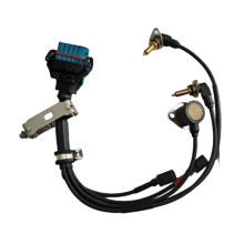 81254020192 Trcuk Cable Harness Transmission Wiring Harness for  0501219774 0501217257 0501219071 42578005 7422524630