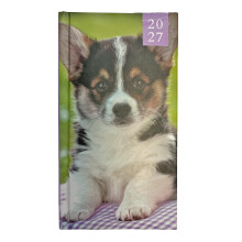 2027 Slimline Hardback Week To View Diary 0344 - Welsh Corgi Puppy