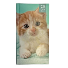 2027 Slimline Hardback Week To View Diary 0344 - Ginger Kitten