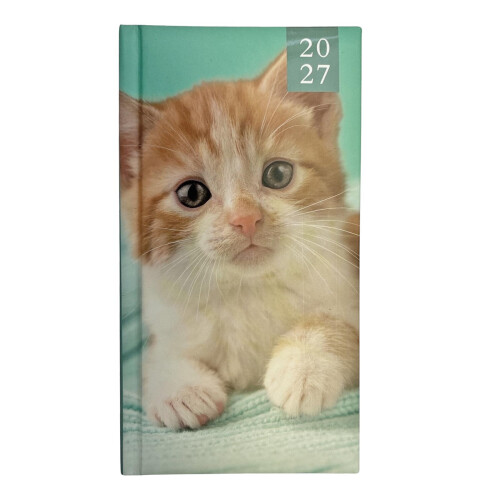 2027 Slimline Hardback Week To View Diary 0344 - Ginger Kitten