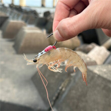 Sharp Bass Hooks - High-Carbon Steel, Corrosion Resistant