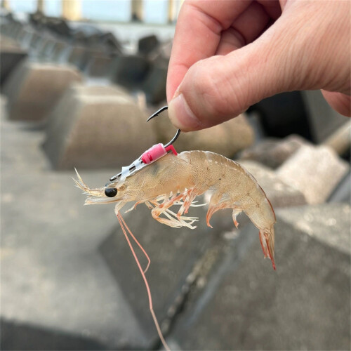 Sharp Bass Hooks - High-Carbon Steel, Corrosion Resistant