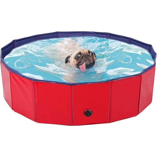 Dog Pool with Drain Collapsible Plastic