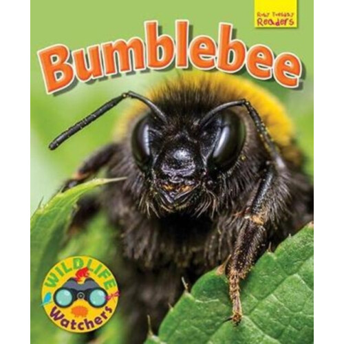 Wildlife Watchers Bumblebee by Ruth Owen Paperback Book