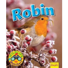 Wildlife Watchers Robin by Ruth Owen Paperback Book