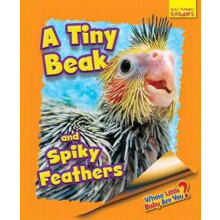 Whose Little Baby Are You A Tiny Beak and Spiky Feathers by Ellen Lawr
