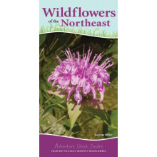 Wildflowers of the Northeast Your Way to Easily Identify Wildflowers b