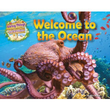 Welcome to the Ocean by Alix Wood Paperback Book
