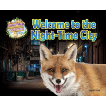 Welcome to the NightTime City by Ruth Owen Paperback Book