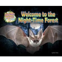 Welcome to the NightTime Forest by Ruth Owen Paperback Book