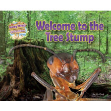 Welcome to the Tree Stump by Alix Wood Paperback Book