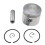 TJ53E 44mm Piston Ring Kit for Brush Cutter & Strimmer Engines 3