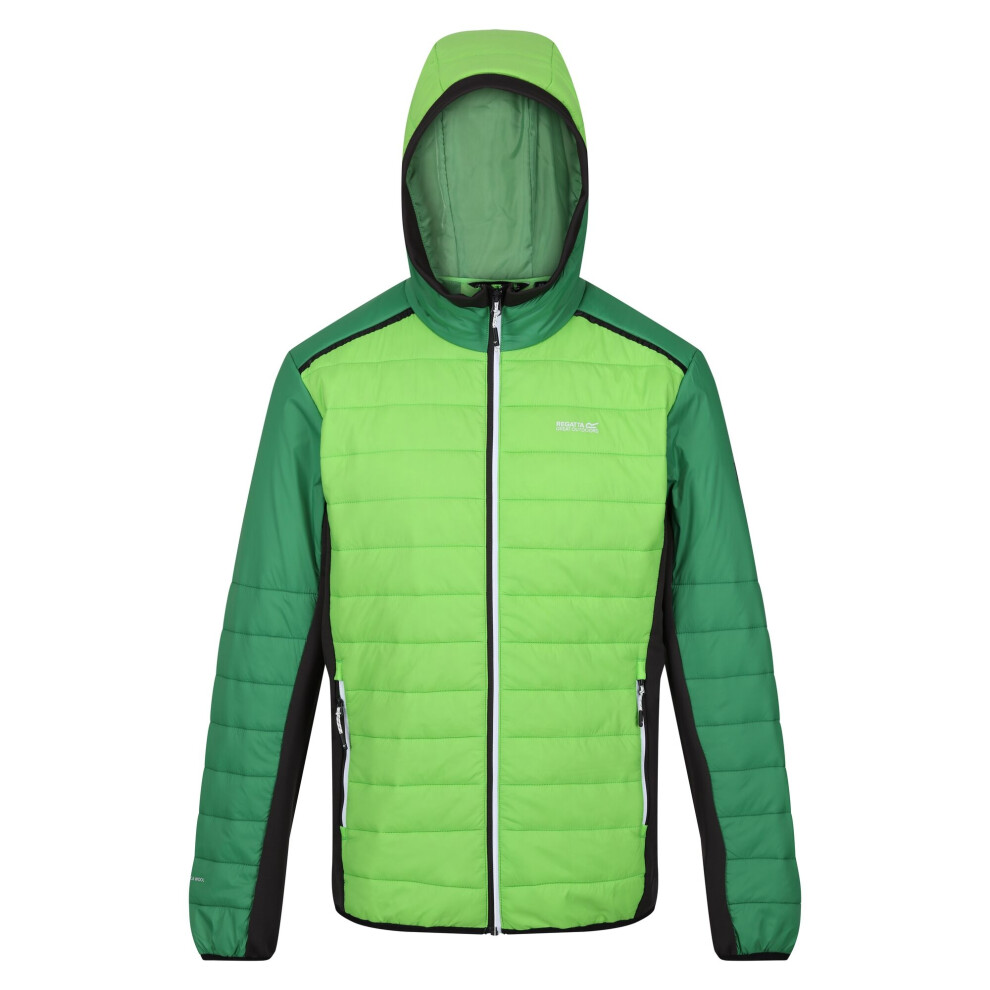 Regatta (L, Jasmine Green/Field Green) Mens Trutton Ii Baffled Padded Jacket