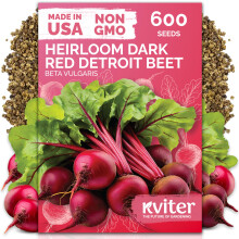 KVITER 600 Donkerrode Detroit Biet (Beta vulgaris) Zaden - Erfgoed Wortelgroente voor Tuinen